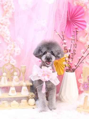 20250327るいくん